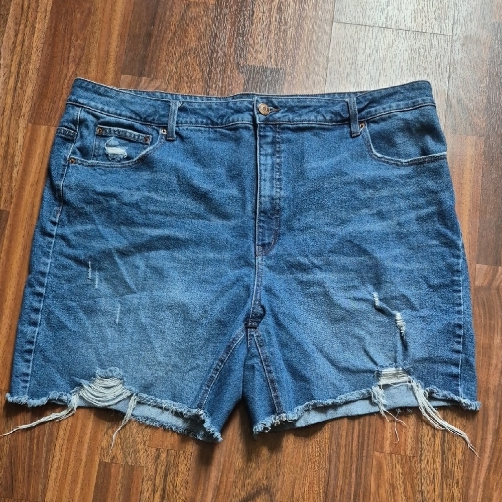 Terra & Sky Blue Jean Shorts Distressed Cut-Off Style